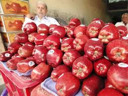 High Density Apple Farming In Kashmir