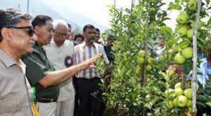 High Density Apple Farming In Kashmir